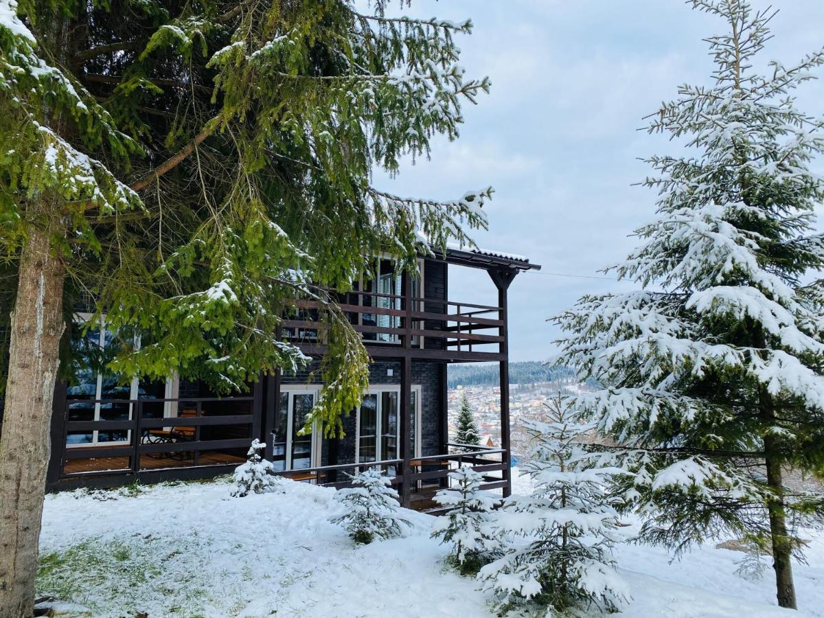 Парк-Готель Щастя Skhidnytsia Εξωτερικό φωτογραφία