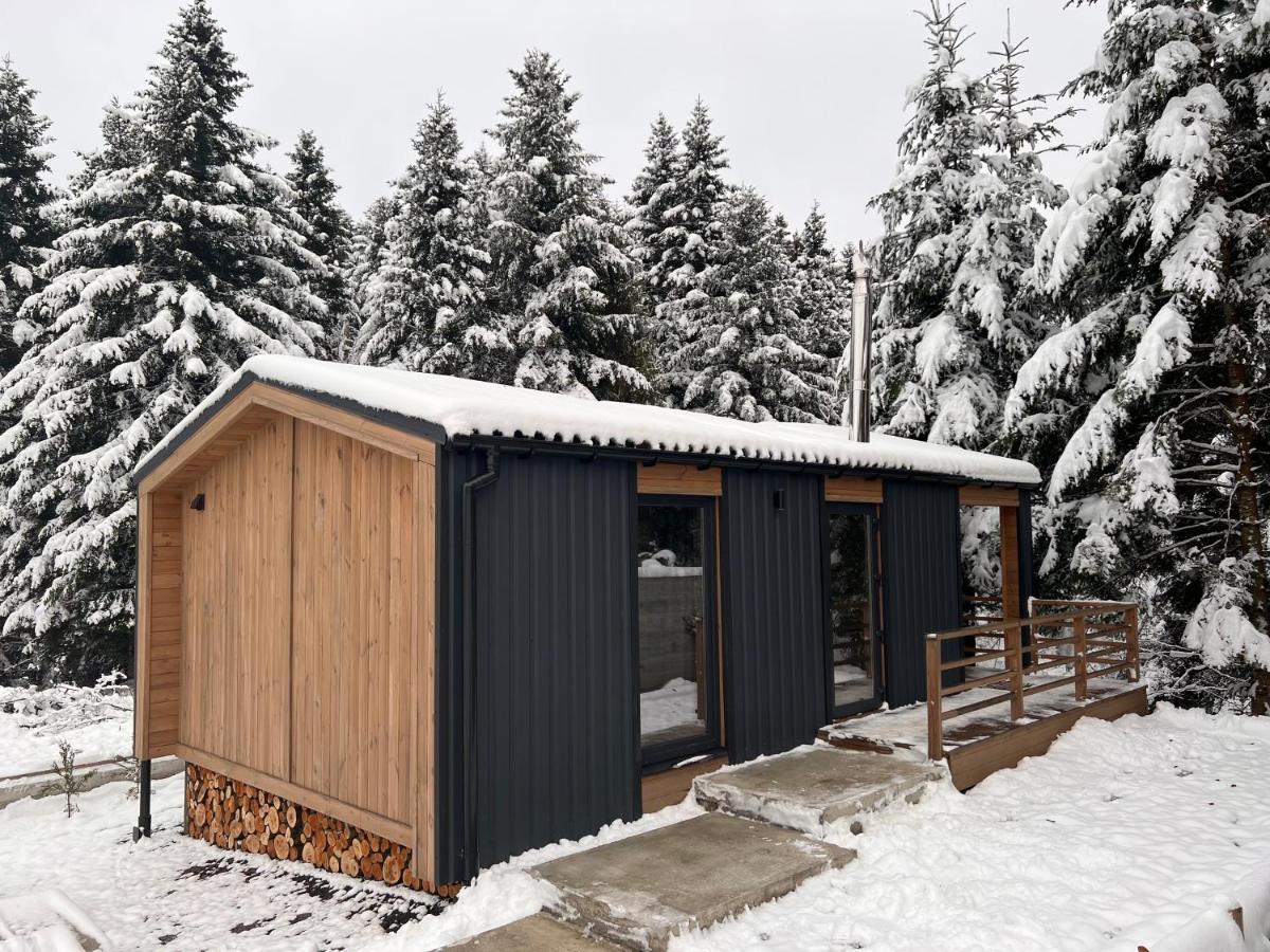 Парк-Готель Щастя Skhidnytsia Εξωτερικό φωτογραφία